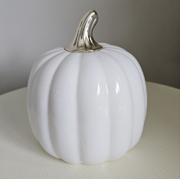 Hello fall pumpkin - Picture 3 of 3